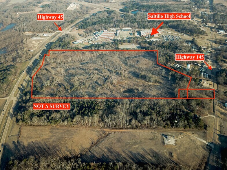 Primary Photo Of US Highway 45, Saltillo Land For Sale