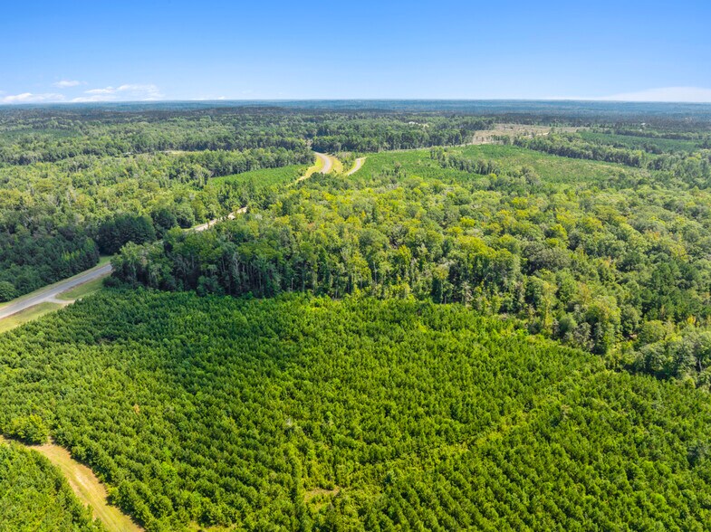 More Photos Of 7471 Highway 155, Saline Land For Sale