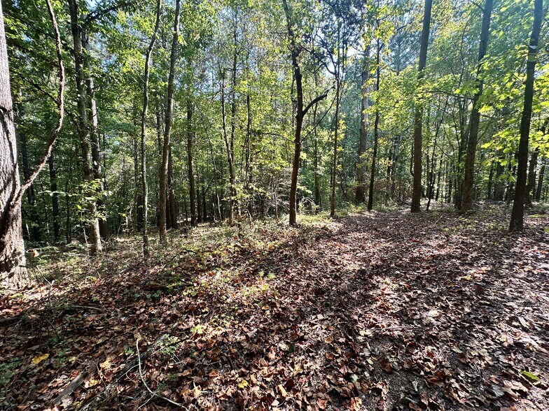 More Photos Of 7330 Frix Rd, Cumming Land For Sale