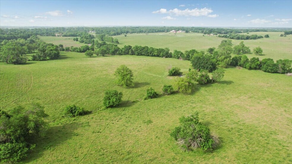 More Photos Of TBD Farm to Market Road 100, Honey Grove Land For Sale