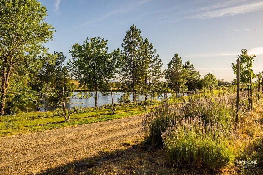 More Photos Of 31630 Forwards Rd, Manton Land For Sale