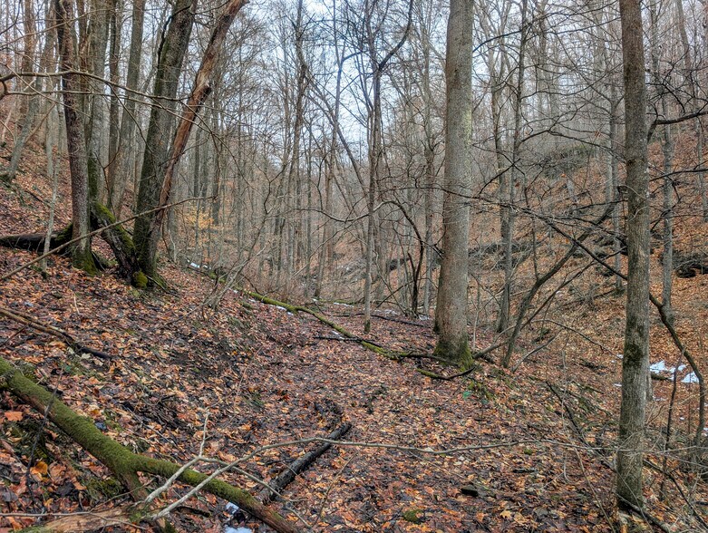 More Photos Of ,  Land For Sale