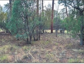 More Photos Of 4900 Arizona 260, Lakeside Land For Sale