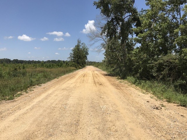 More Photos Of Buck Creek Loop, Richton Land For Sale