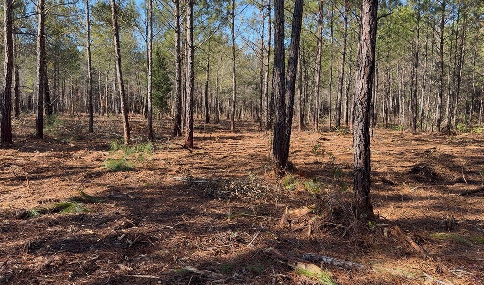 More Photos Of 319 - 547 Sisters Ferry Road, Ridgeland Land For Sale