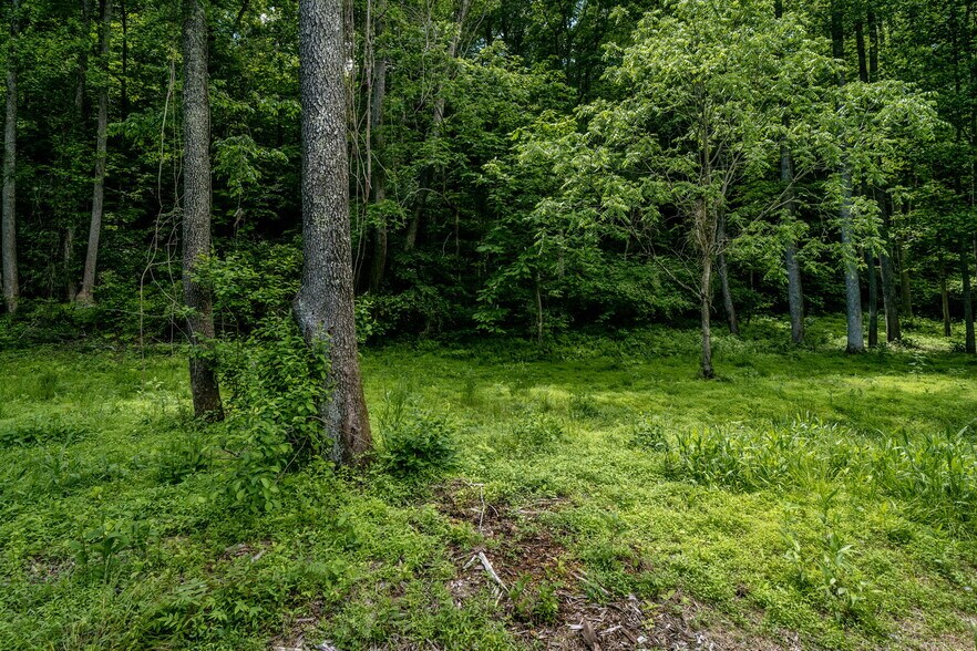 More Photos Of tbd Green Creek Rd, Schuyler Land For Sale
