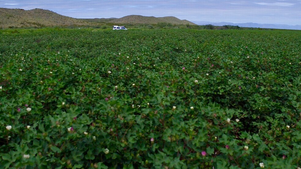 More Photos Of 10± miles NE of Van Horn, Van Horn Land For Sale