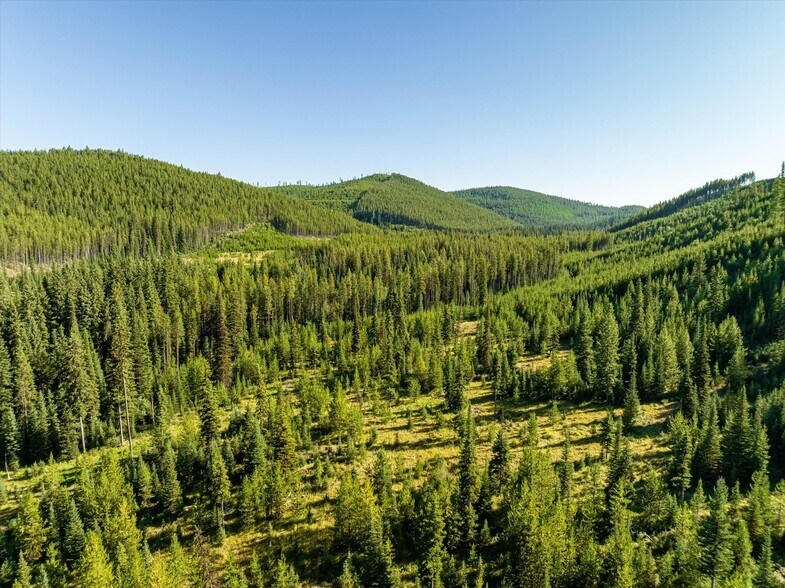 More Photos Of Nhn Logan Creek Road, Kila Land For Sale