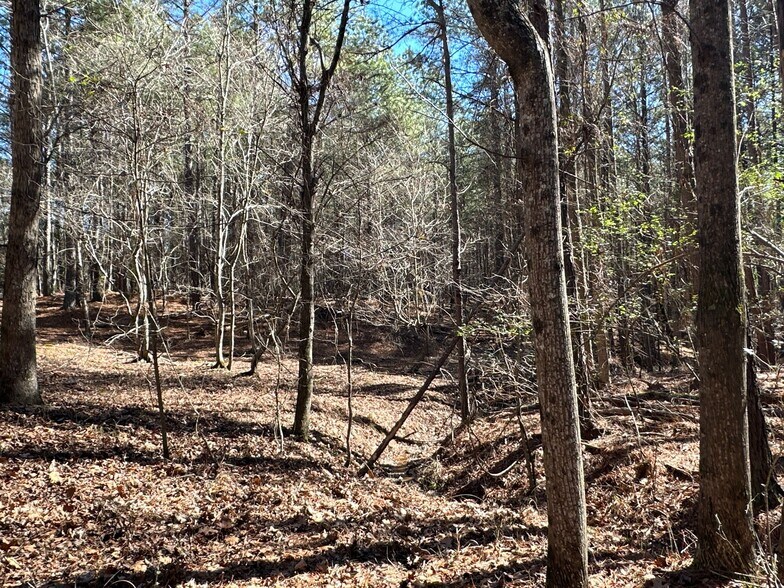 More Photos Of 3472 Prior Station Rd, Cedartown Land For Sale