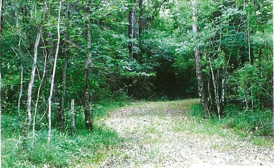 More Photos Of Highway 10 & FM 1136, Orange Land For Sale