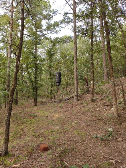 More Photos Of 27546 Reservation Rd, Daisy Land For Sale
