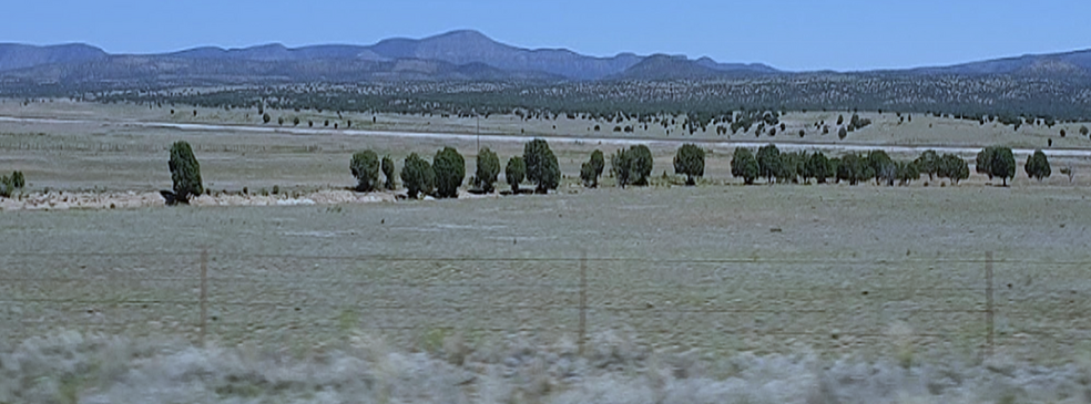 Primary Photo Of Route 66, Valentine Land For Sale