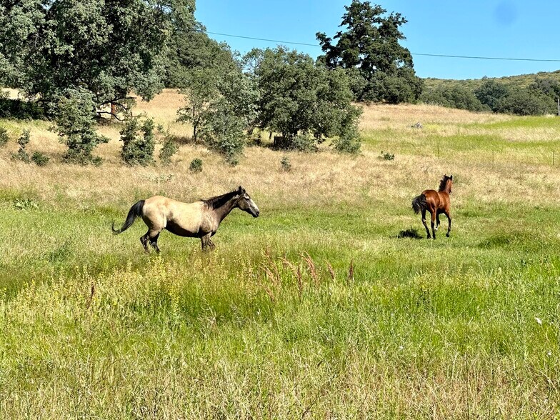More Photos Of 25258 Mesa Grande Rd, Santa Ysabel Land For Sale