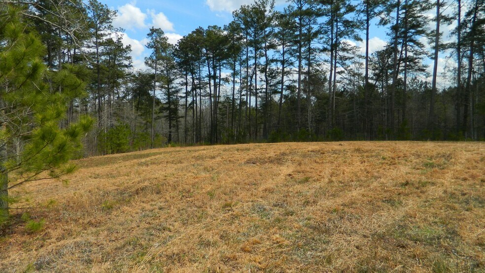 More Photos Of 320 Steve Tate Hwy, Marble Hill Land For Sale