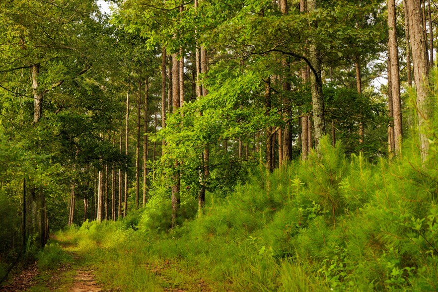 More Photos Of 2199 Roosterville Rd, Roopville Horse Stables For Sale