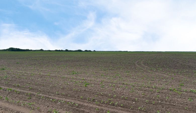 Primary Photo Of CR 48 52.085 AC, Robstown Land For Sale