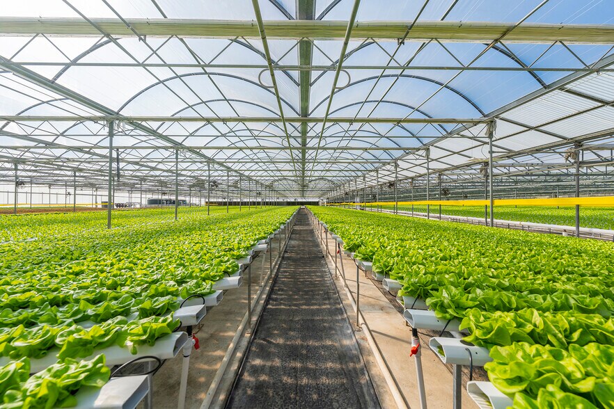 More Photos Of 2075 N Twin Oaks Valley Rd, San Marcos Garden Center For Lease