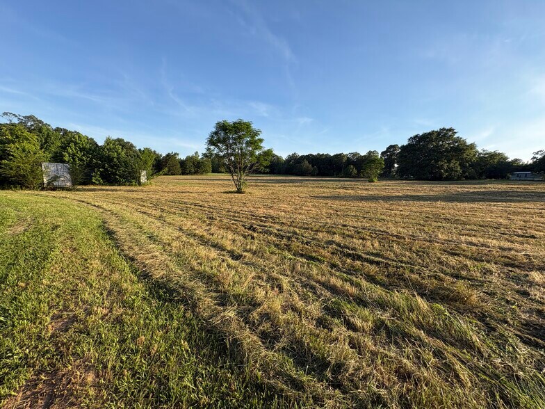 More Photos Of 33600 AL Highway 22, Verbena Flex For Sale
