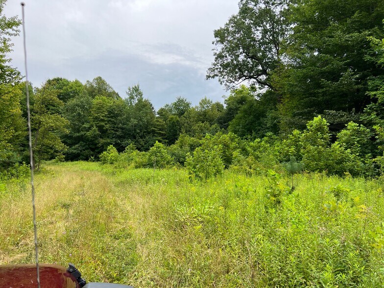 More Photos Of 6050 Riverview Rd, Peninsula Land For Sale