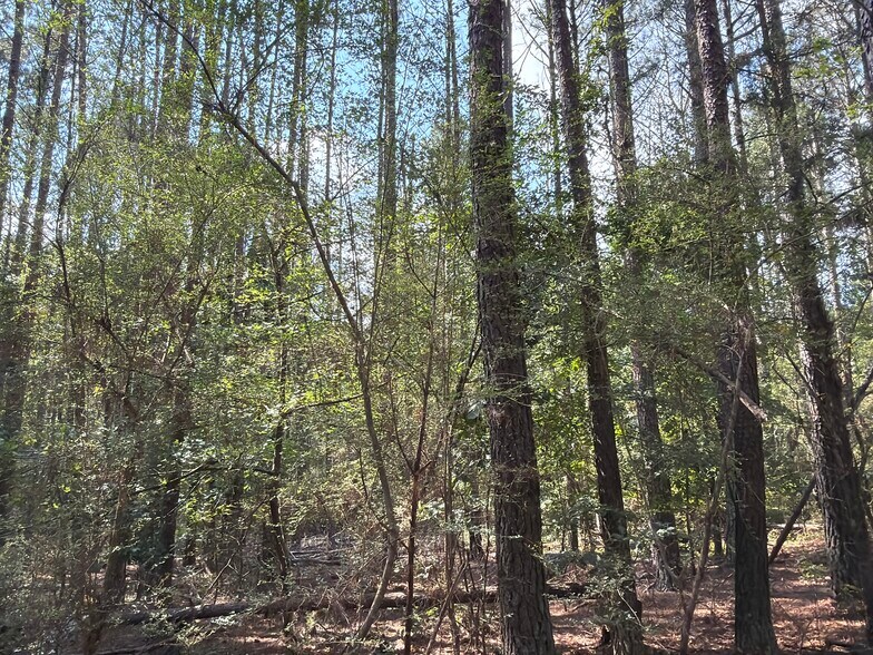 More Photos Of 107 Popham rd, Taylorsville Land For Sale