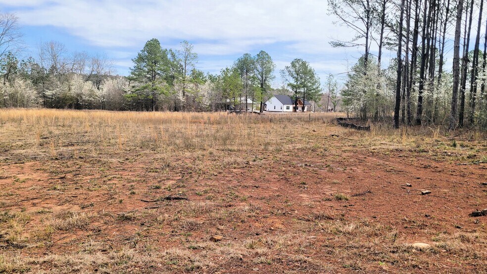 More Photos Of 1019 Chancellors Ferry Loop, Harpersville Land For Sale