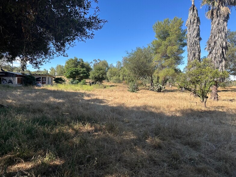 More Photos Of 1528 Olivewood Ln, Alpine Land For Sale