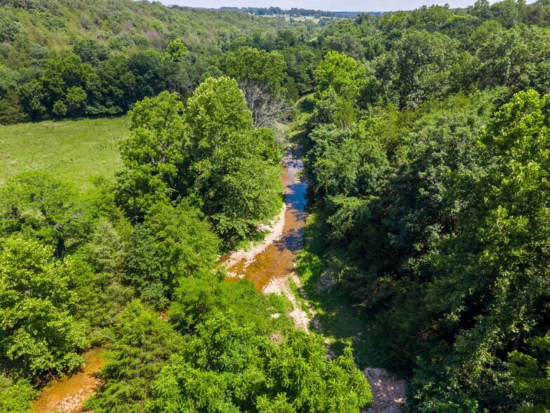 More Photos Of County Road 211, Eureka Springs Land For Sale