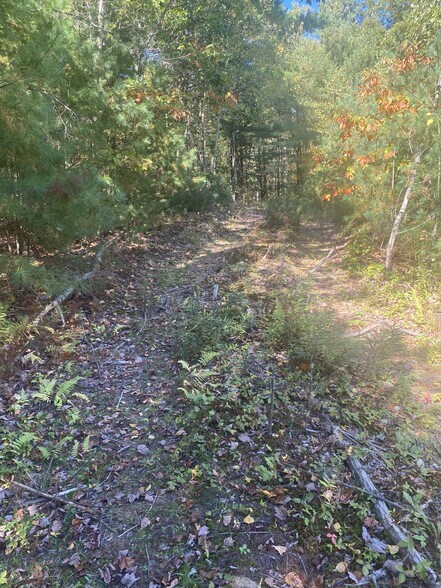 More Photos Of 126 State St, Palmer Land For Sale