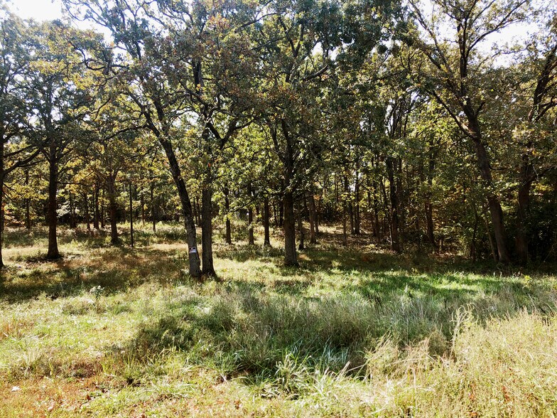 Primary Photo Of 10240 County Road 3060, Rolla Land For Sale