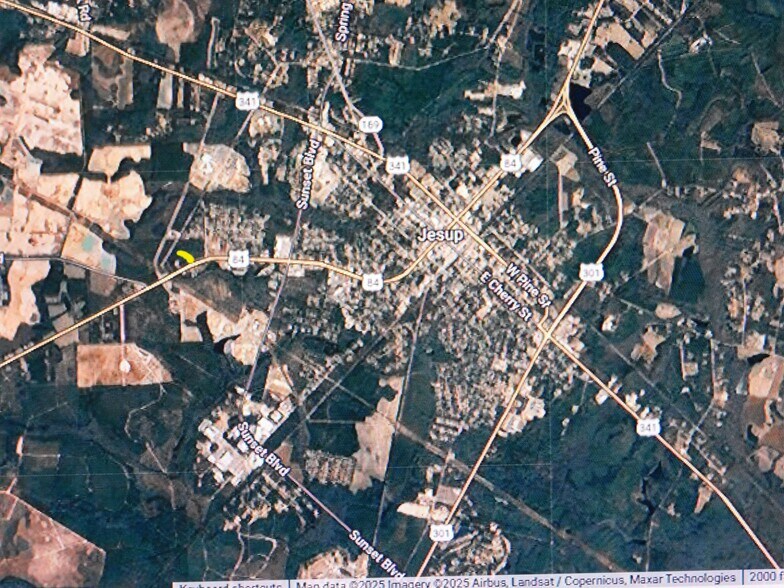 More Photos Of 86-34 INC U. S. Highway 84, Jesup Land For Sale