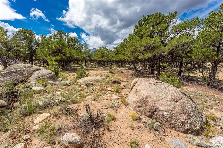 More Photos Of 30224 US-24, Buena Vista Land For Sale