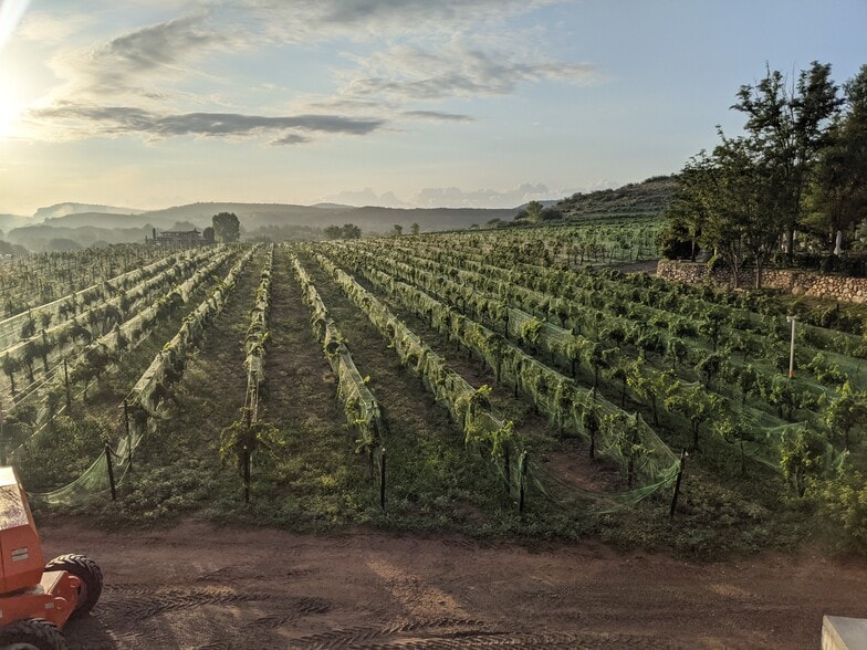 More Photos Of 3445 S Grapevine Way, Cottonwood Land For Sale