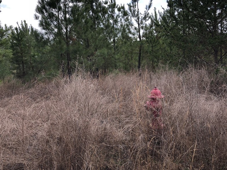 More Photos Of Bountyland Rd, Seneca Land For Sale