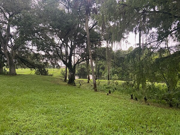 More Photos Of 15871 N River Rd, Alva Land For Sale