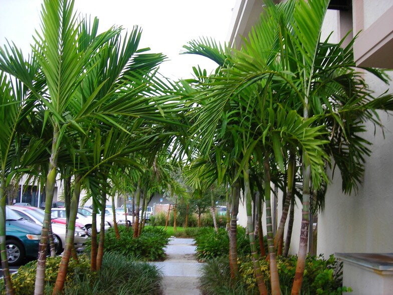 More Photos Of 7301 N University Dr, Tamarac Medical For Lease