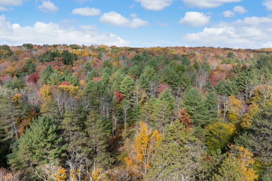 More Photos Of 378 Gregory Rd, Monticello Land For Sale