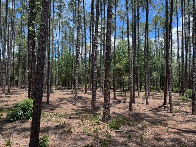 Primary Photo Of 18517 Livingston Ave, Lutz Land For Sale
