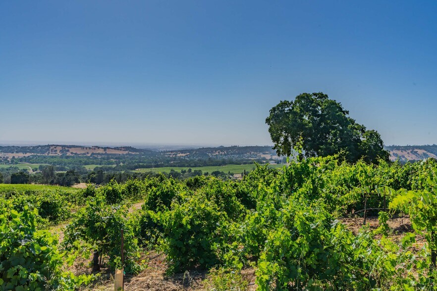 More Photos Of 18550 Silver Oak Ln, Plymouth Land For Sale