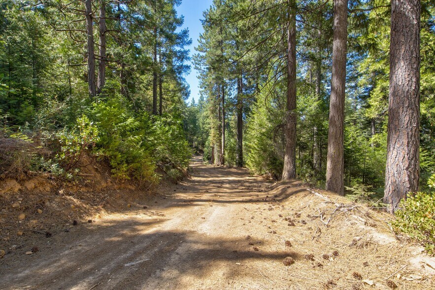 More Photos Of Texas Hill Rd, Emigrant Gap Land For Sale
