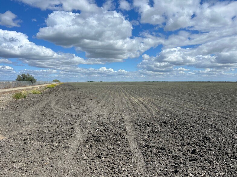 More Photos Of NWC of W. Springfield & S. El Dorado Aves., San Joaquin Land For Sale