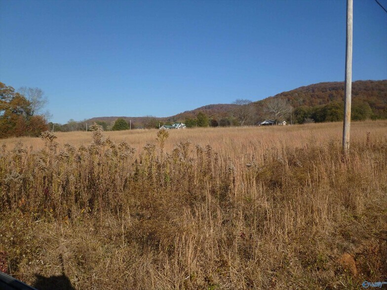 More Photos Of 5504 Martin Ave NE, Fort Payne Land For Sale