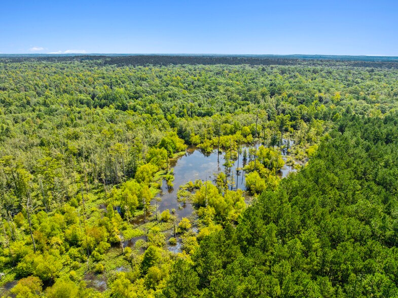 More Photos Of 7471 Highway 155, Saline Land For Sale