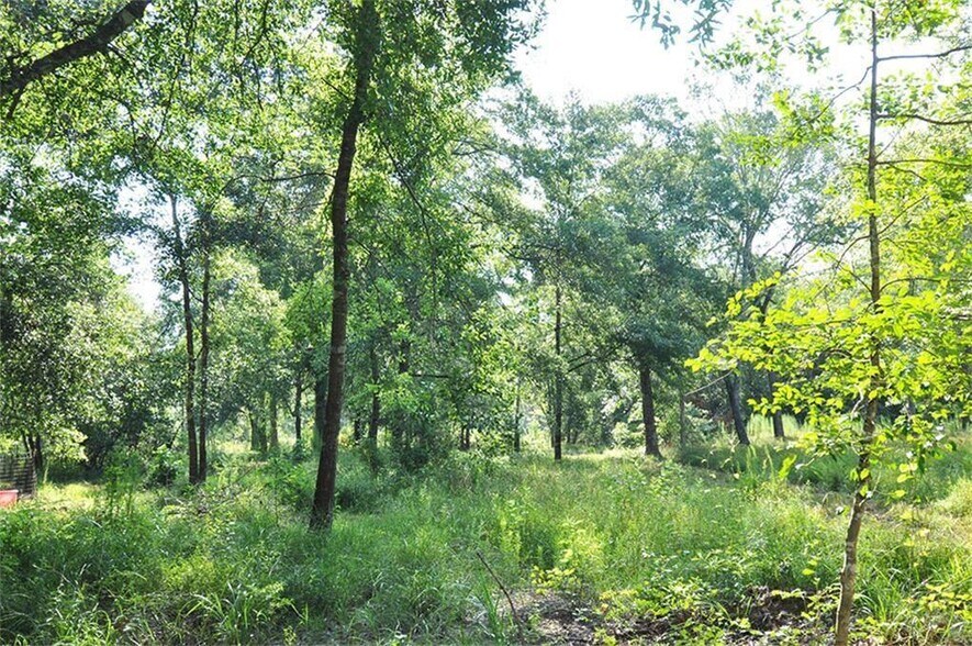 More Photos Of 10955 DAW COLLINS Rd, Splendora Land For Lease