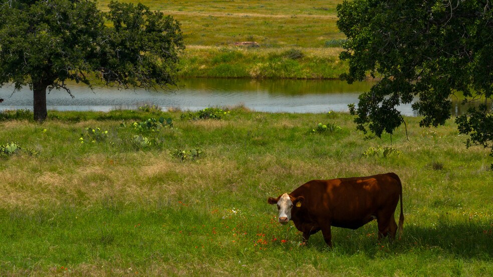 More Photos Of TBD Ranch to Market 1431, Marble Falls Land For Sale