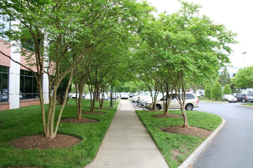 More Photos Of 600 Peter Jefferson Pky, Charlottesville Medical For Sale