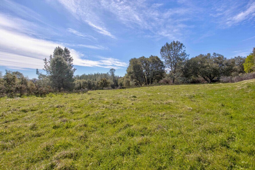 More Photos Of 18800 Charleston Rd, Volcano Land For Sale