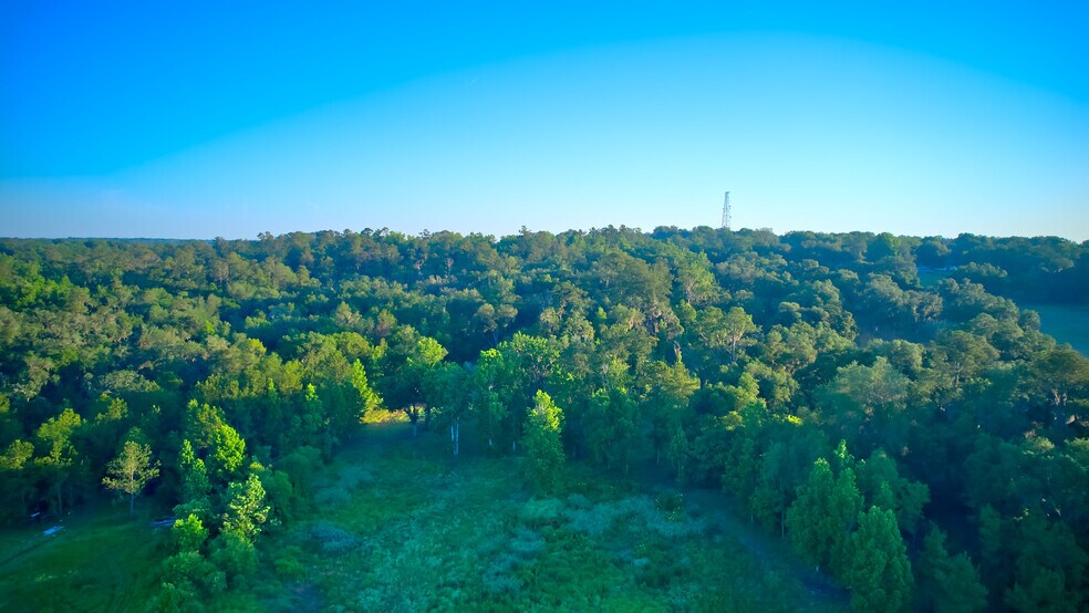 More Photos Of 3267 Neff Lake Rd, Brooksville Land For Sale