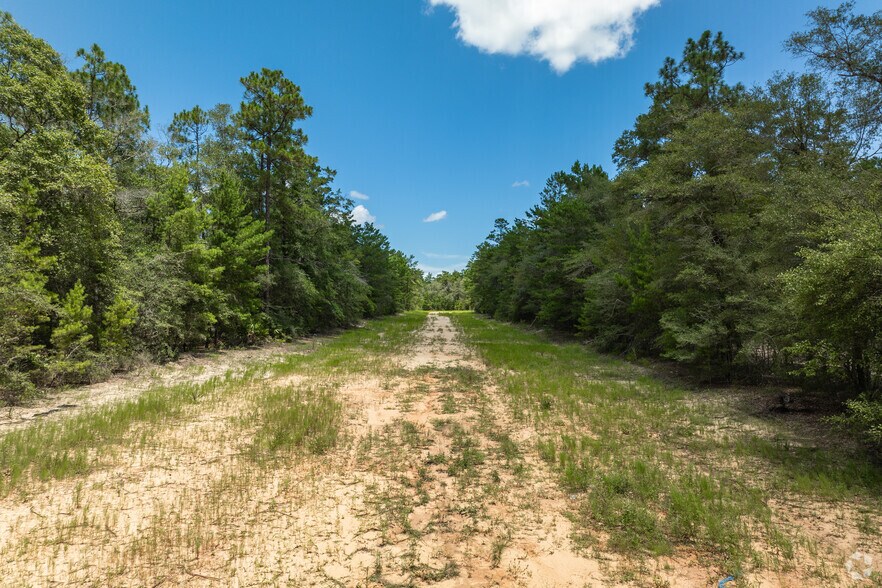 More Photos Of , Defuniak Springs Land For Sale
