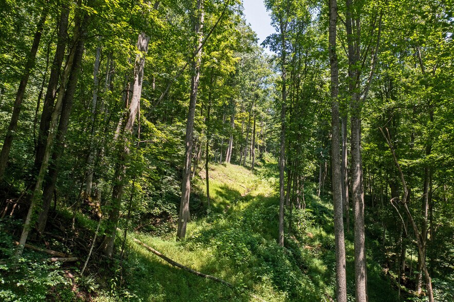 More Photos Of 24272 CONRAD Rd, Laurelville Land For Sale