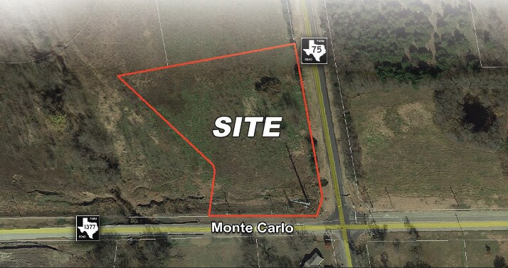 Primary Photo Of NWC OF MONTE CARLO BLVD AND FM 75, Princeton Land For Sale
